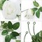 Pack Artificial White Rose Vines Floral Garlands Total 19.5 Ft Fake Vine Silk Flower Garland for Indoor Outdoor Home